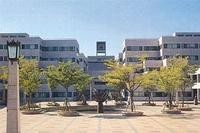 浦项工业大学-宁波韩语培训